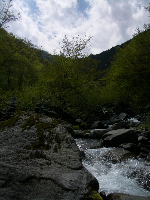 b0172805_441551.jpg