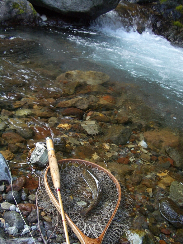 b0172805_4433344.jpg