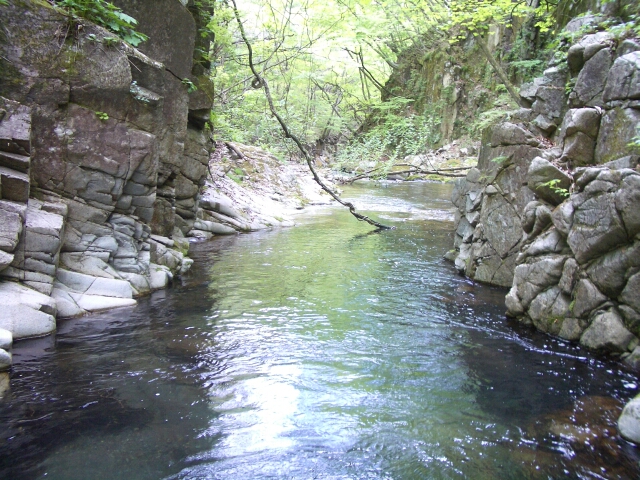 b0172805_473863.jpg