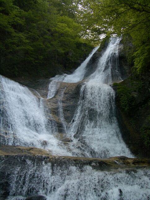 b0172805_4961.jpg
