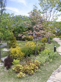 c0211205_20543079.jpg