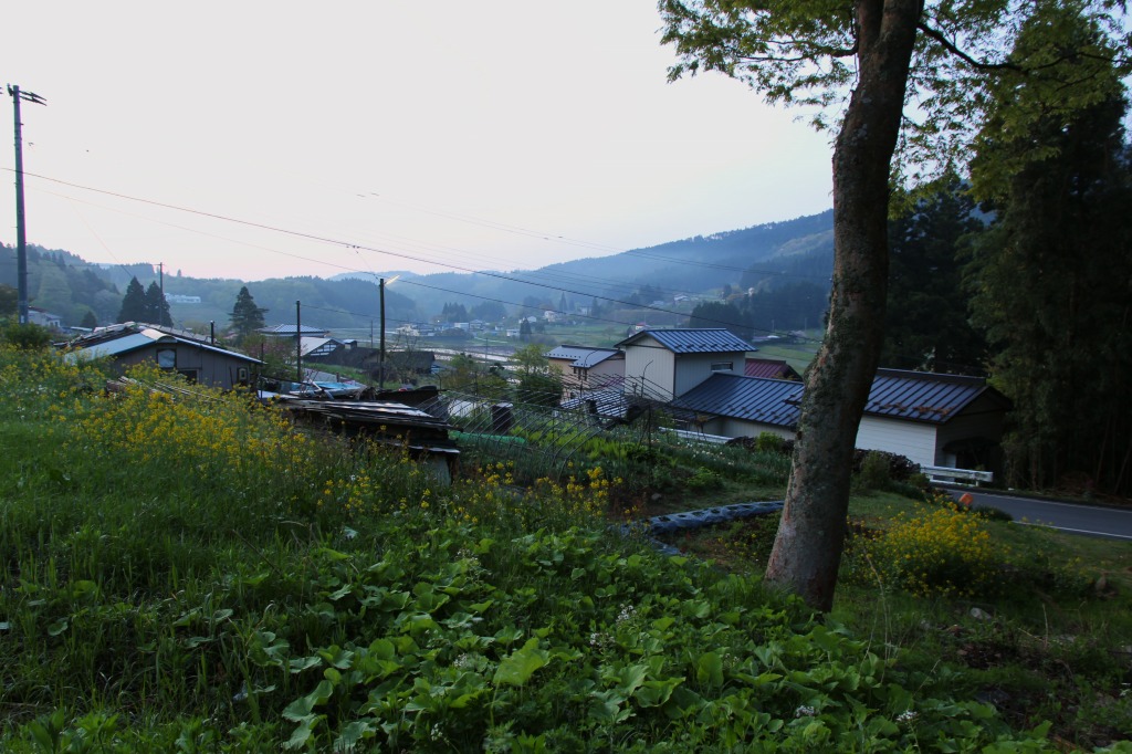 f0138305_8222770.jpg