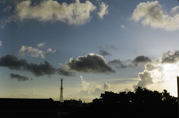 f0177305_0394885.jpg