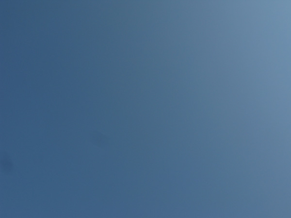 e0065906_20243746.jpg