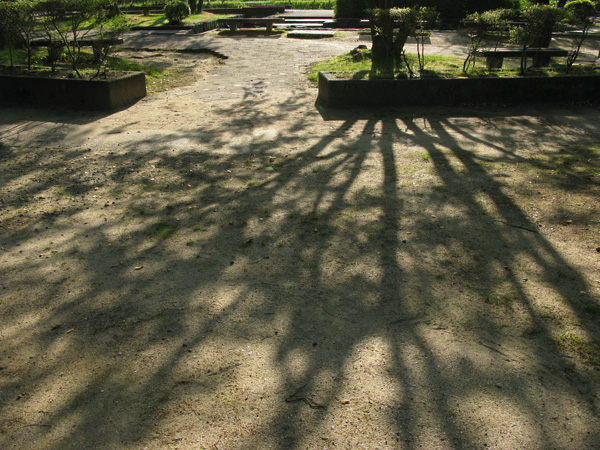 e0065906_20394426.jpg