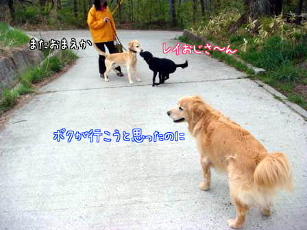 やっぱり熟女が好き_f0064906_18305654.jpg