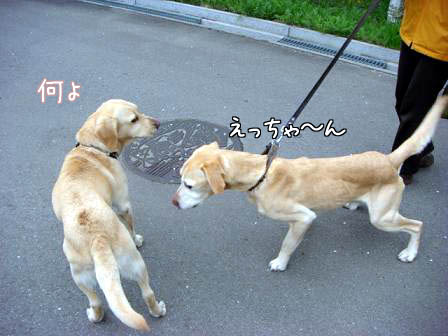 やっぱり熟女が好き_f0064906_18331359.jpg