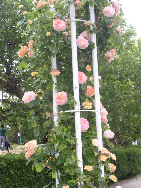 c0152507_4402038.jpg