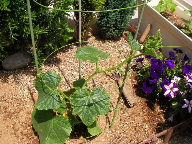 f0038407_10541343.jpg