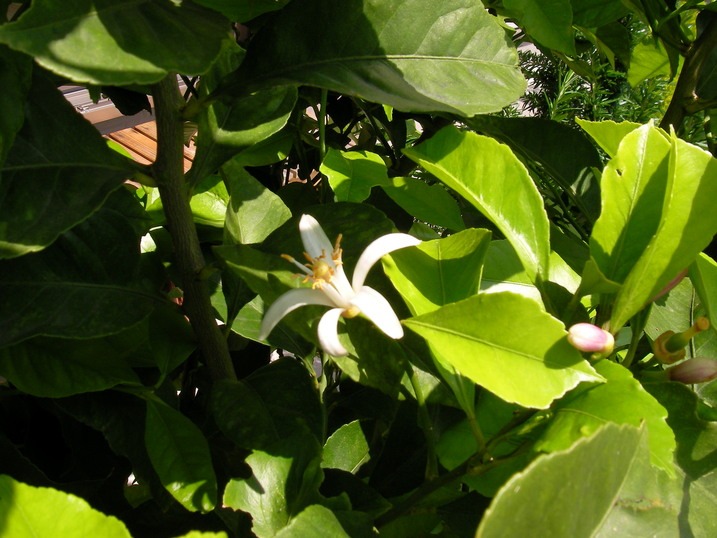 f0038407_10555734.jpg