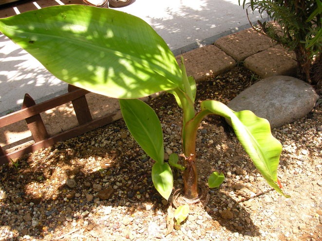 f0038407_10584879.jpg