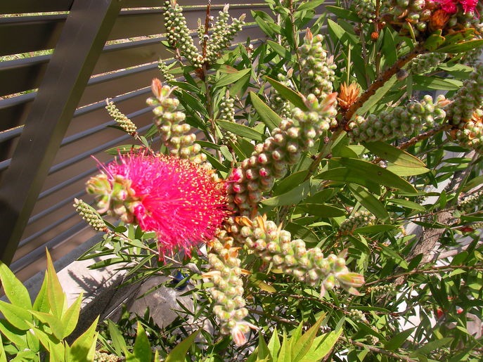 f0038407_1121788.jpg