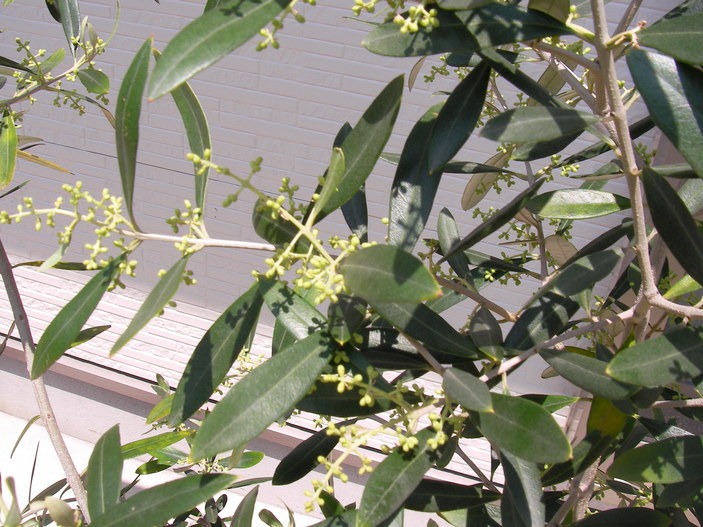 f0038407_1132144.jpg