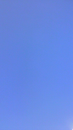 a0168108_20175625.jpg