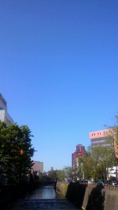 a0168108_20233341.jpg