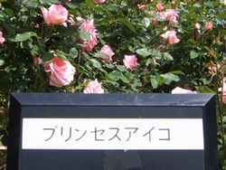 f0231309_5465358.jpg