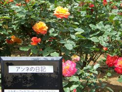 f0231309_664771.jpg