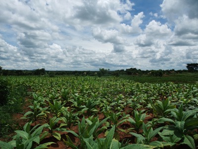 a0151411_22462293.jpg