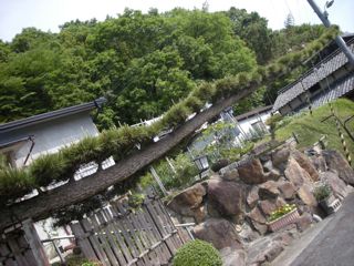 b0183911_2332348.jpg