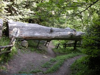 b0183911_23361031.jpg