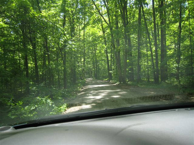 c0079011_947794.jpg