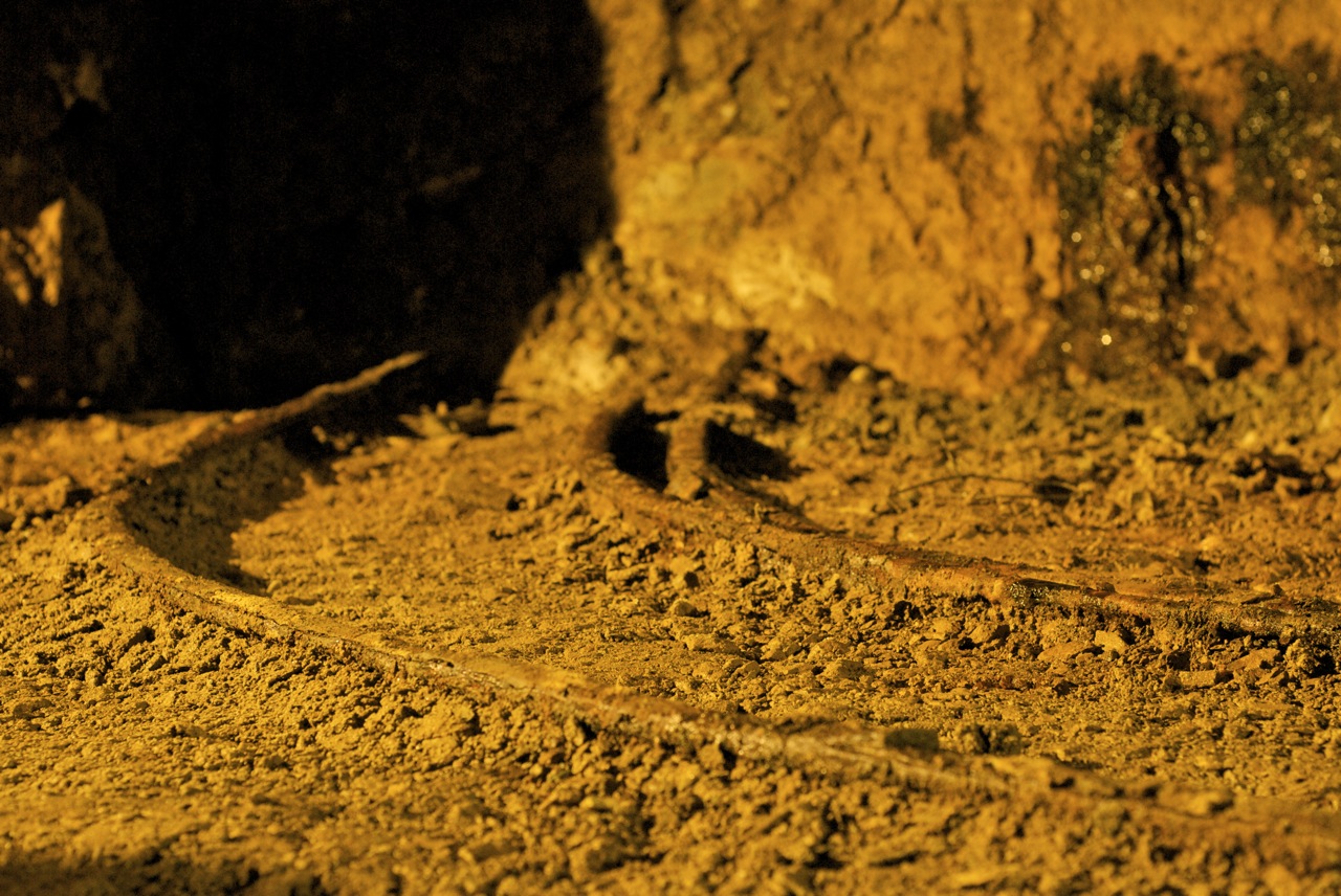 c0153411_2213584.jpg