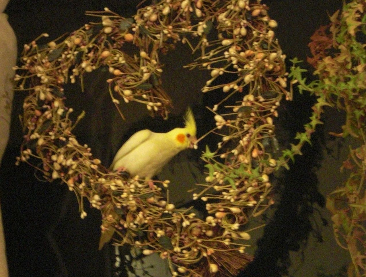 c0094013_8573663.jpg