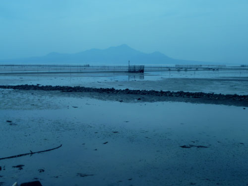 有明海 干潟_e0048413_22421760.jpg