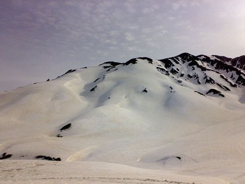 e0132713_9503319.jpg