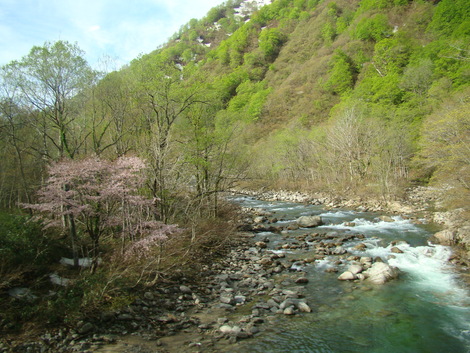 a0127015_2285145.jpg