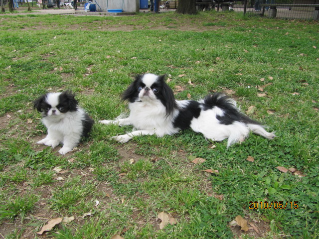 c0200916_015366.jpg