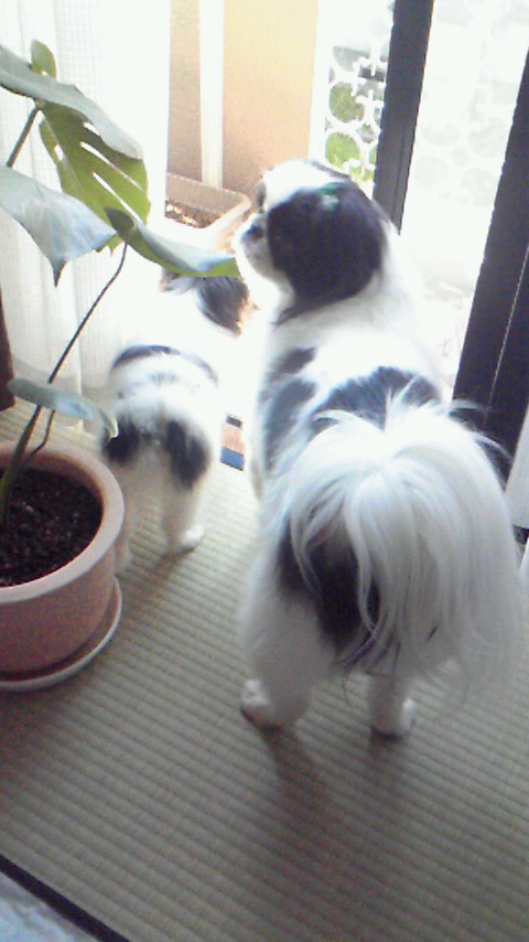 c0200916_044413.jpg