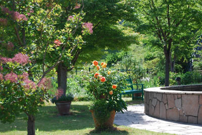 e0135518_16235424.jpg