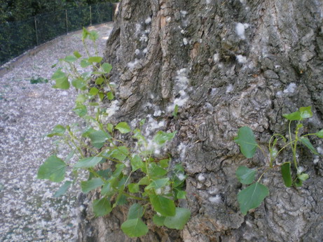 c0124619_2123377.jpg