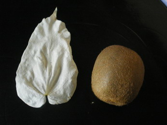 c0124619_215389.jpg