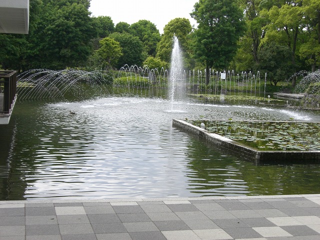 f0207320_22195585.jpg