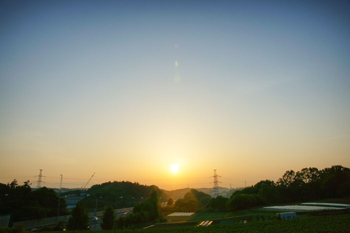 初夏の夏日の夕_e0077521_232984.jpg