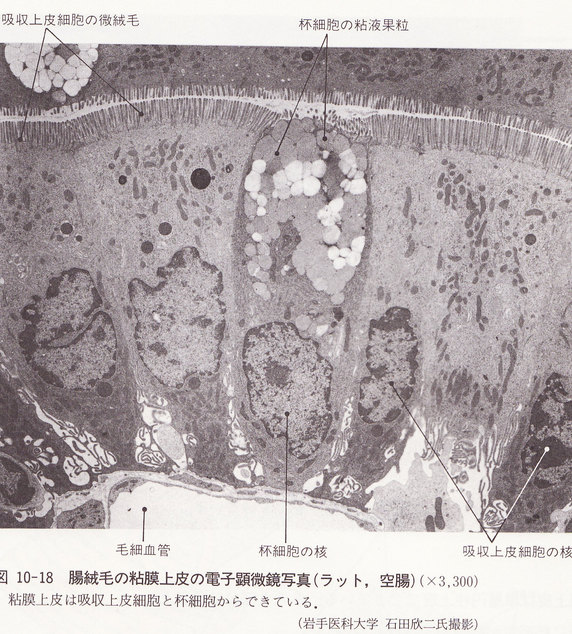 f0230423_23155653.jpg