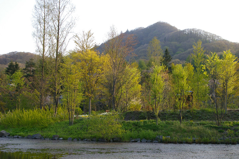 e0136424_1950915.jpg