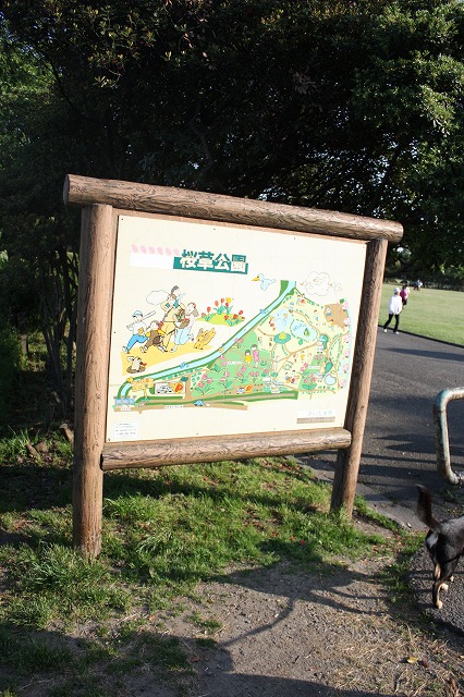 e0162524_12202832.jpg