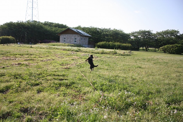 e0162524_1220408.jpg