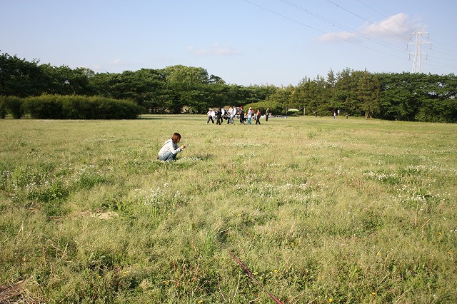 e0162524_12204420.jpg