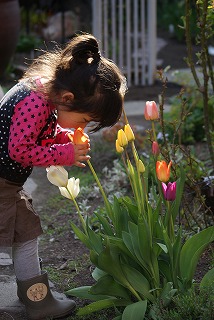 f0170524_124692.jpg