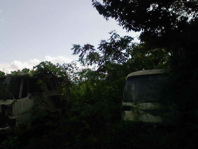 b0184725_0183138.jpg