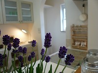 c0148425_955352.jpg
