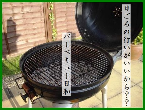 新玉ねぎが隠し味!さっぱりレタスのごまおひたし_d0104926_3132136.jpg