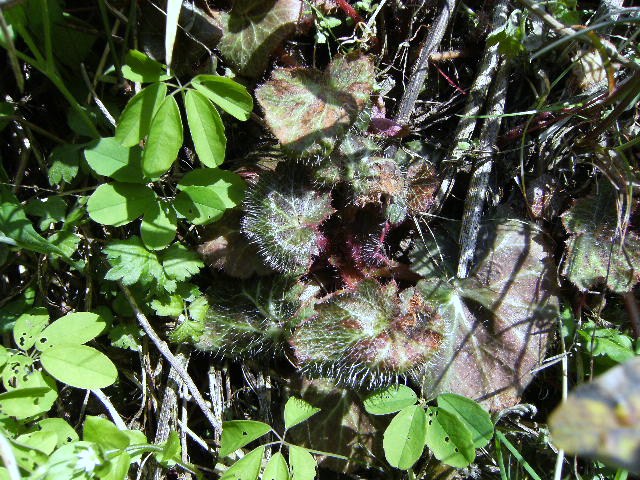 c0210829_18132362.jpg