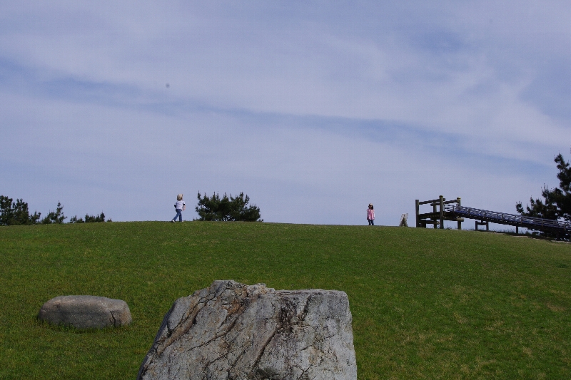 c0113733_23393010.jpg