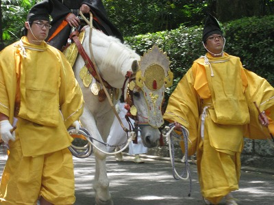 葵祭　路頭の儀観覧と下鴨茶寮　賞味会　その2_a0055835_17423915.jpg