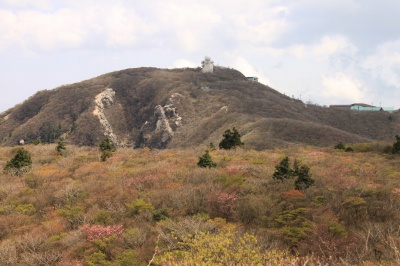 d0055236_9504285.jpg